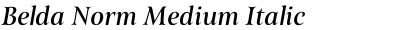 Belda Norm Medium Italic